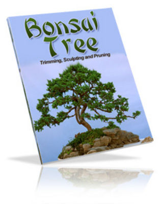 Product picture Bonsai Tree : Trimming Sculpting and Pruning (MRR)